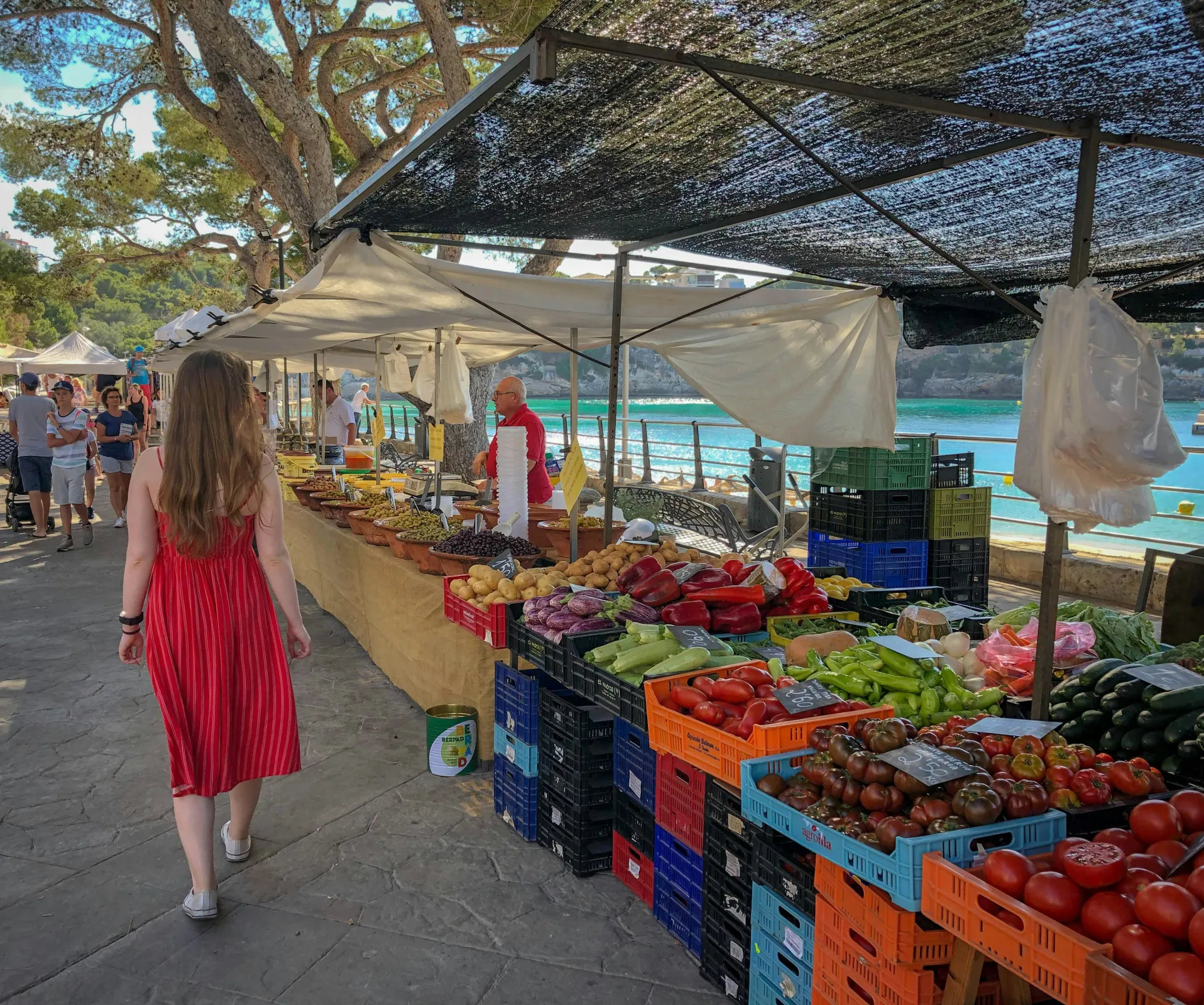 Discovering the Captivating Culinary Delights of Sint Maarten - Caribbean travel guide for Sint Maarten