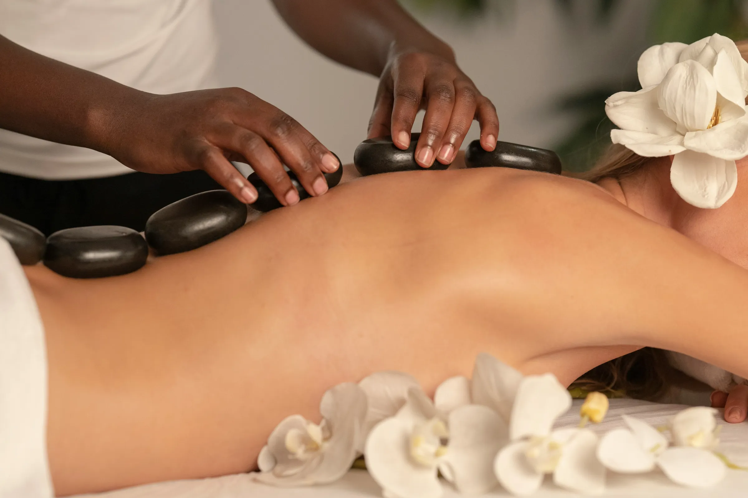 Discovering the Vibrant Wellness Oasis of Sint Maarten - Caribbean travel guide for Sint Maarten