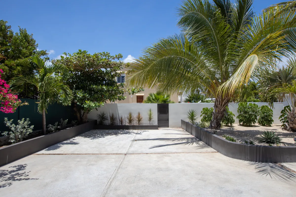 Villa Alma: Concrete driveway framed by tropical palm trees and garden walls under a clear sky