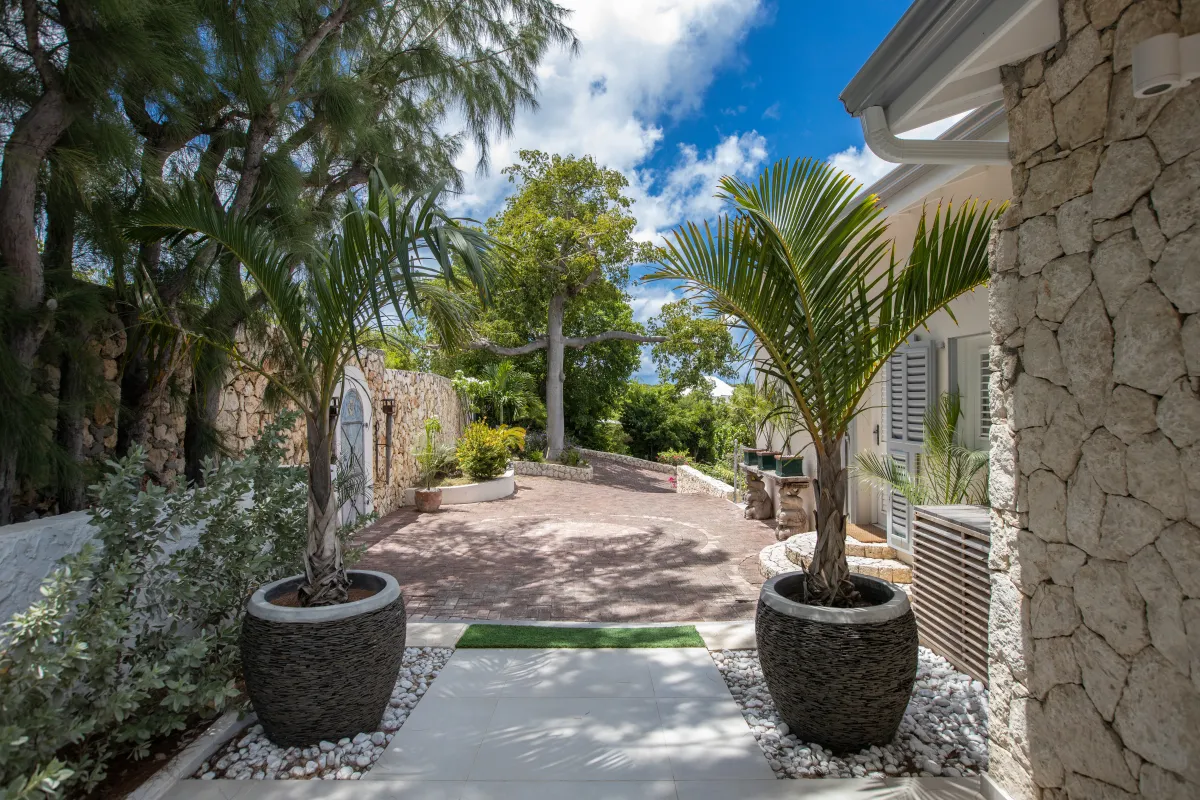 Villa Azur Dream: Paved driveway and entrance courtyard framed by potted palm trees and stone walls