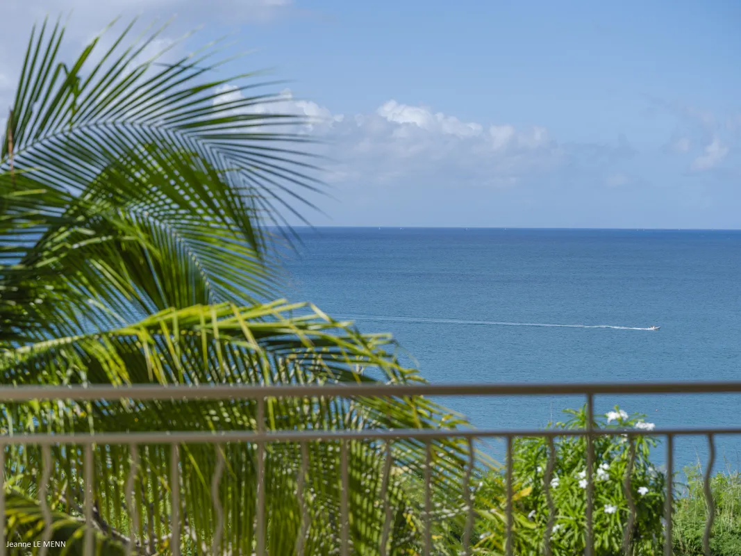 Villa Chez Paulette: Ocean view framed by palm fronds from a terrace railing