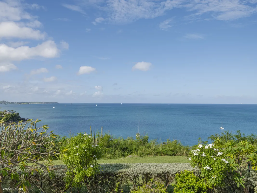Villa Chez Paulette: Expansive ocean view with lush green foliage in the foreground under a blue sky