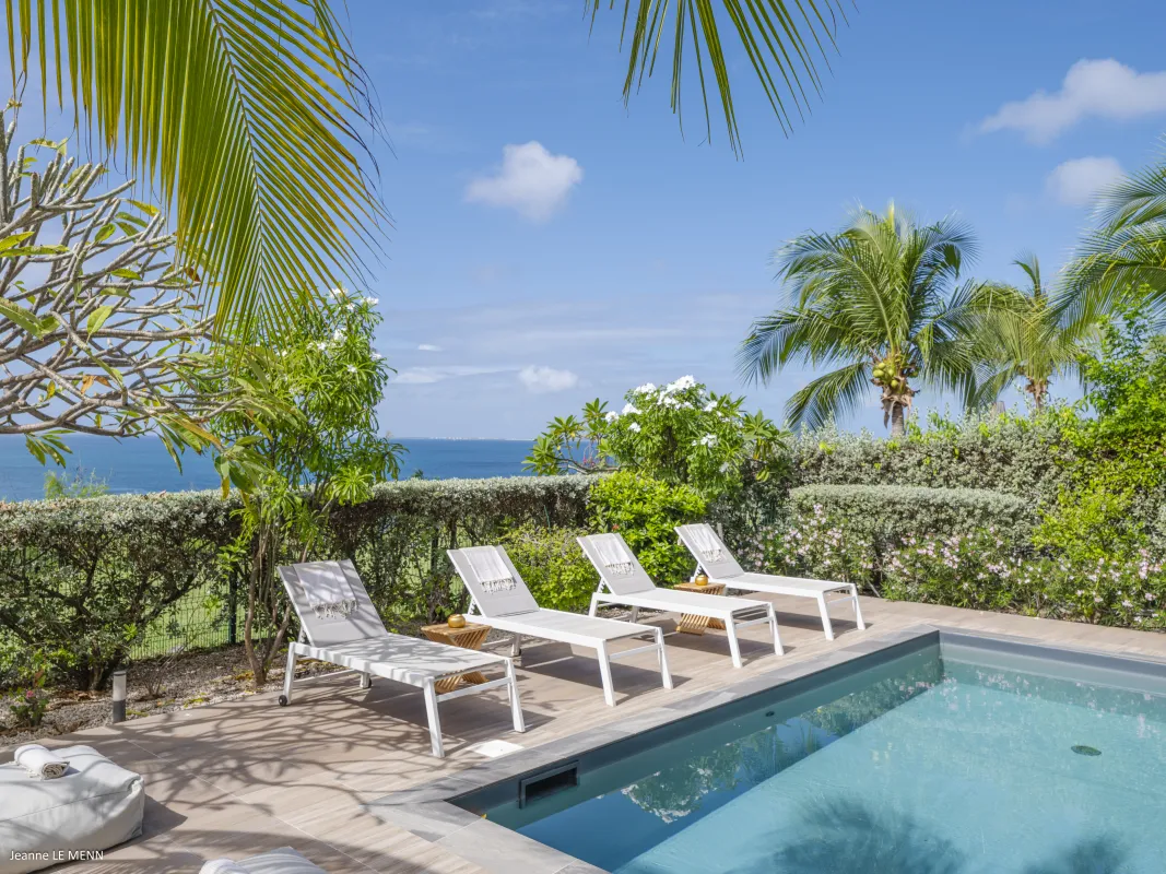 Villa Chez Paulette: Sun loungers on a pool deck surrounded by palm trees with an ocean view