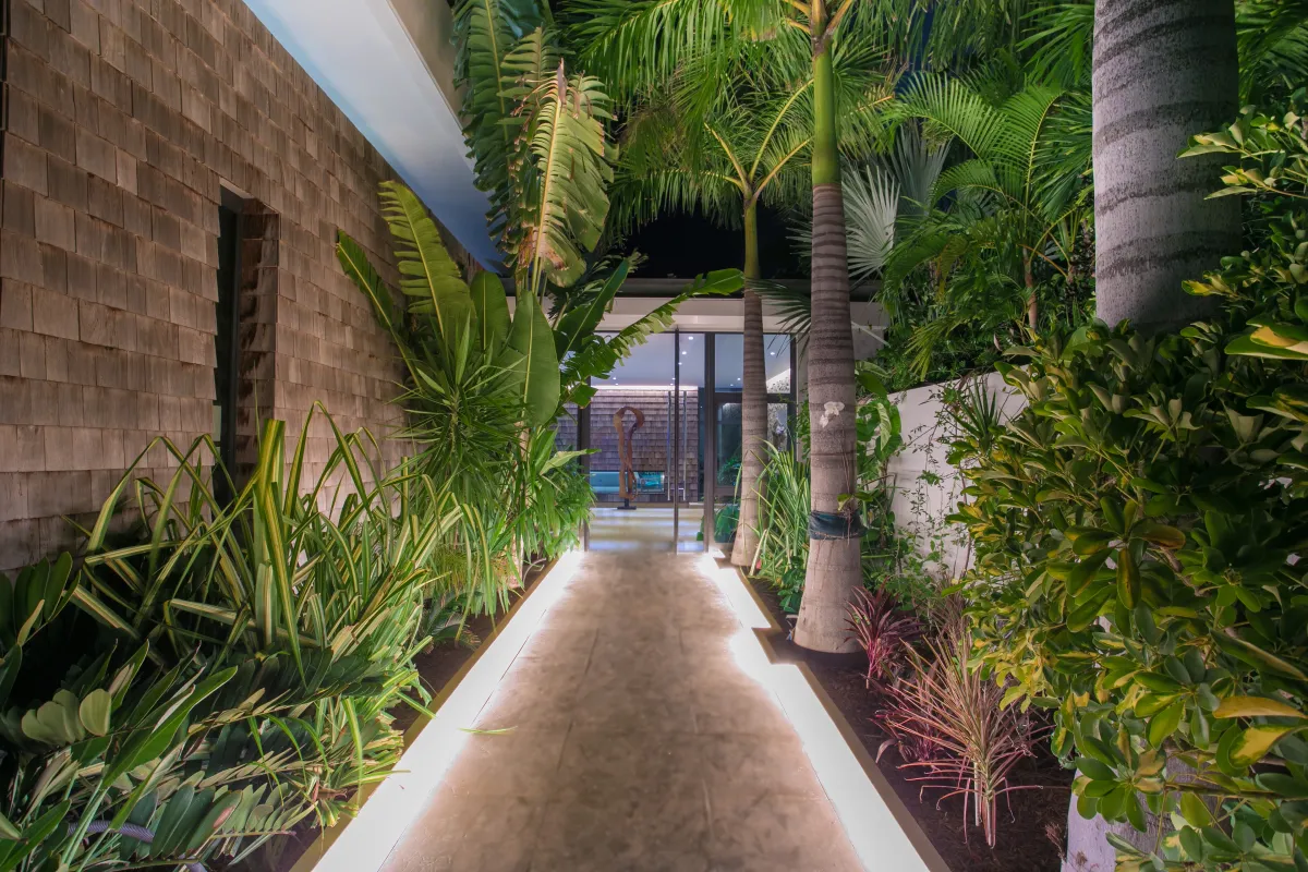 Villa Emeraude: Illuminated pathway lined with tropical plants leading to the modern villa entrance at night