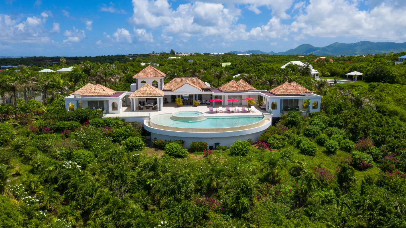 Villa Just in Paradise: Aerial view of a villa with a curved swimming pool surrounded by tropical vegetation