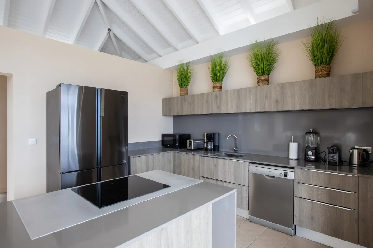 Villa Karukera: Modern kitchen with wood cabinets, stainless steel appliances, and a vaulted ceiling