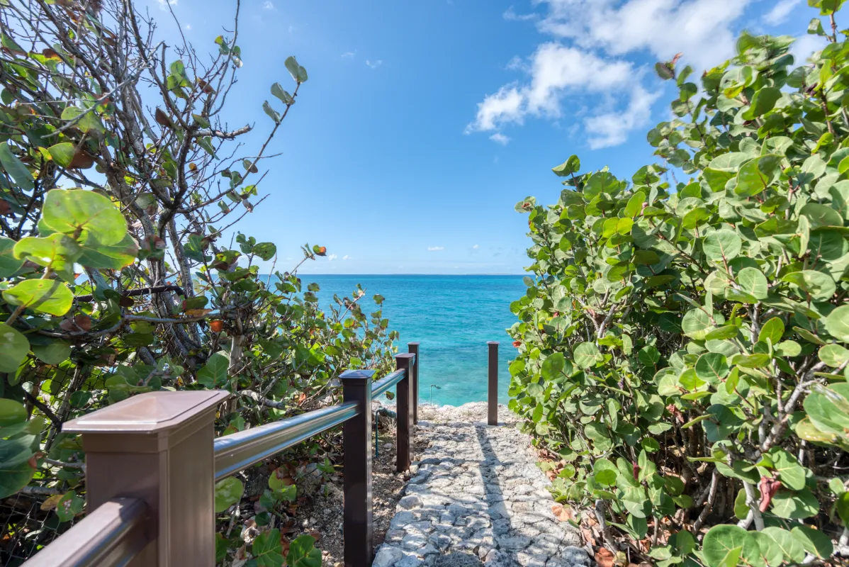 Villa La Dacha: Stone pathway with railing leading through green bushes toward the turquoise ocean