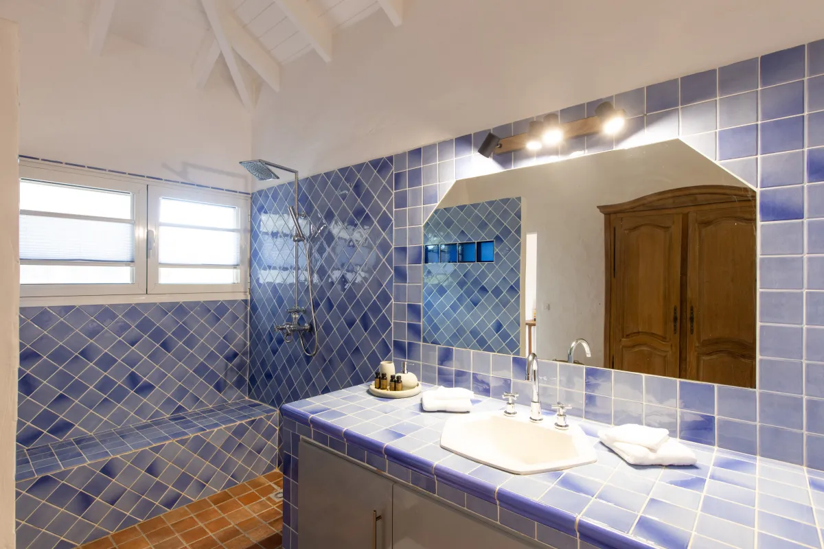 Villa La Rose Du Desert in Terres Basses, photo 18