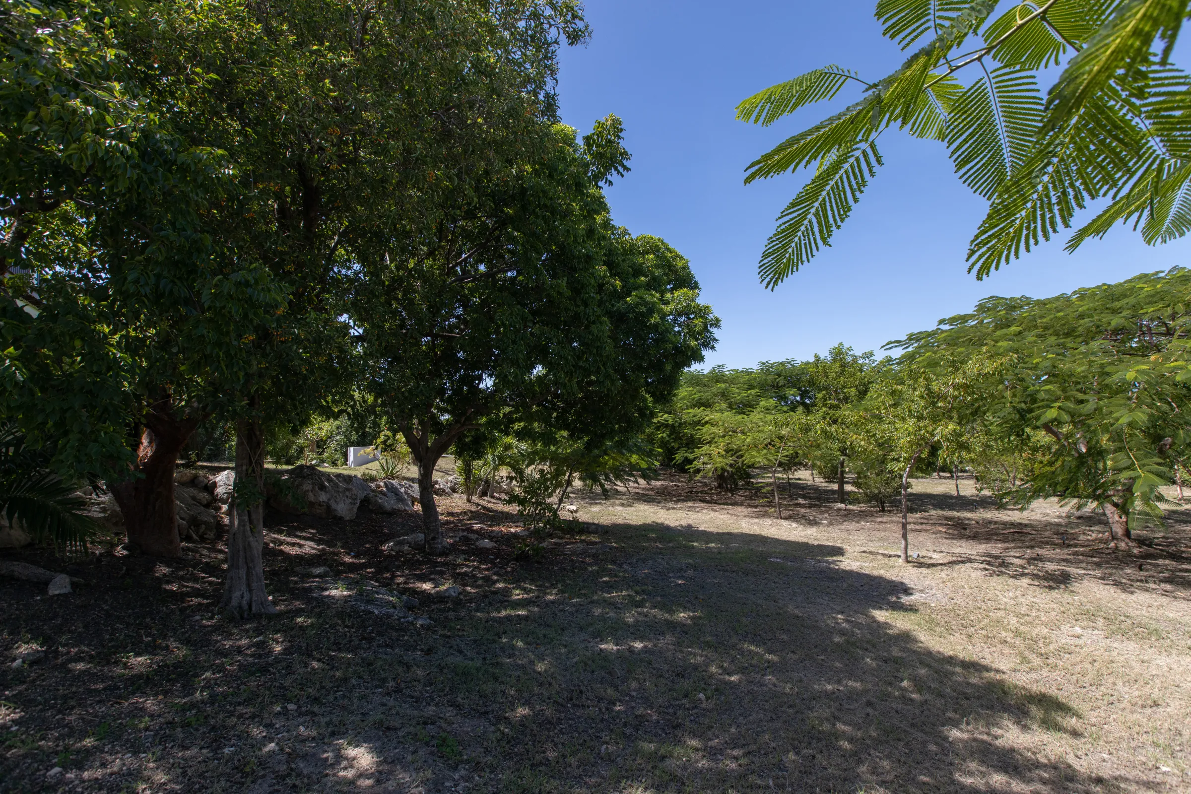 Villa Les Oliviers - Gallery image 67 of luxury villa in Sint Maarten