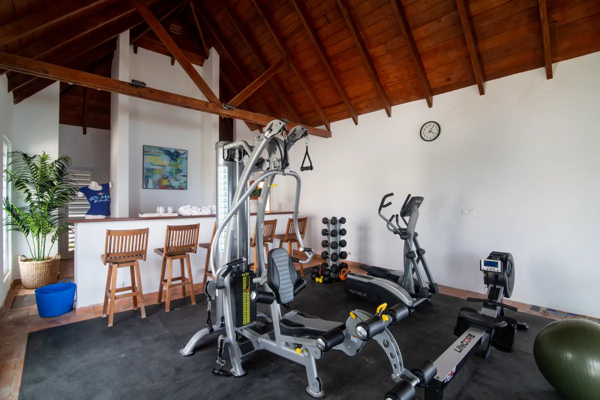 Villa Mes Amis: Fitness room with weight machines, cardio equipment, and vaulted wood ceiling