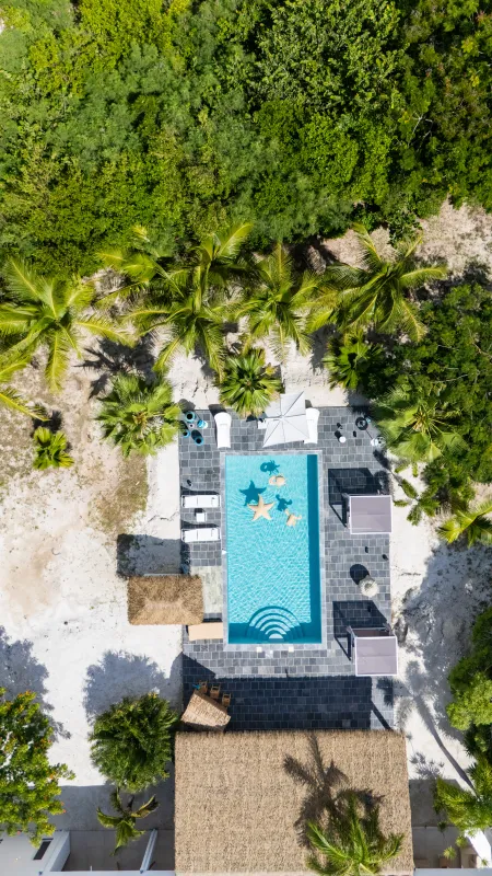 Villa Nirvana: Aerial view of a swimming pool with sun loungers surrounded by tropical greenery