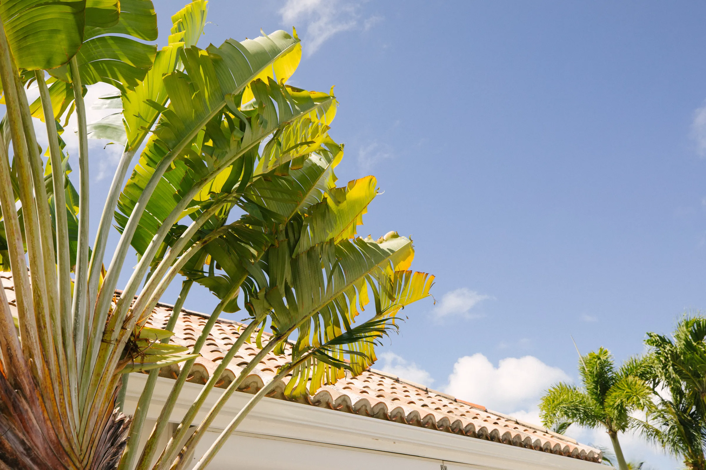 Villa Petite Plage 4 - Gallery image 9 of luxury villa in Sint Maarten