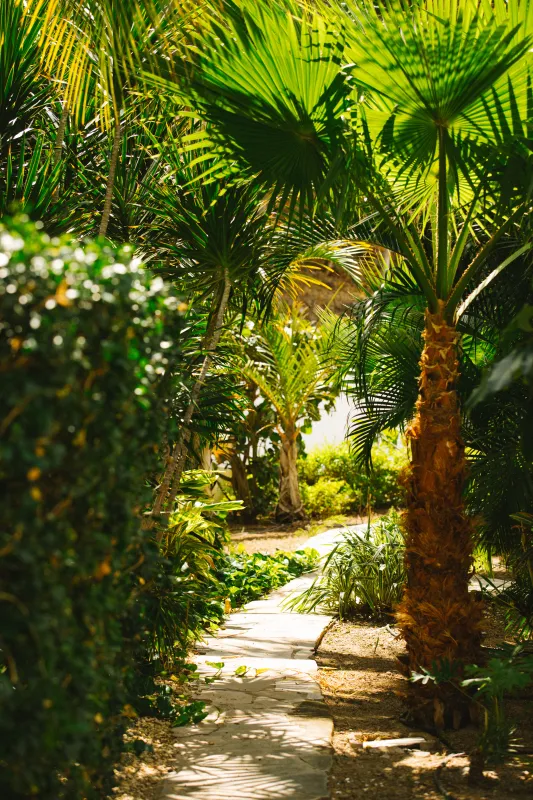 Villa Petite Plage 4 in Grand Case, photo 34