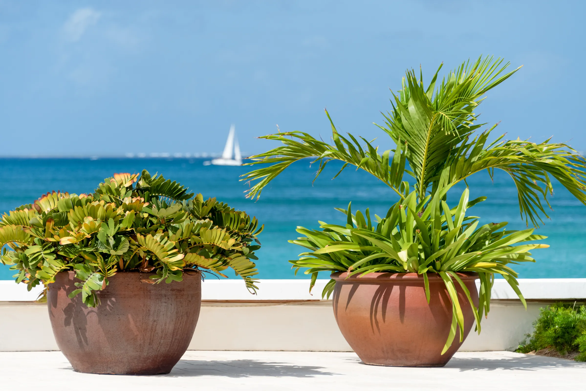 Villa Petite Plage 5 - Gallery image 14 of luxury villa in Sint Maarten