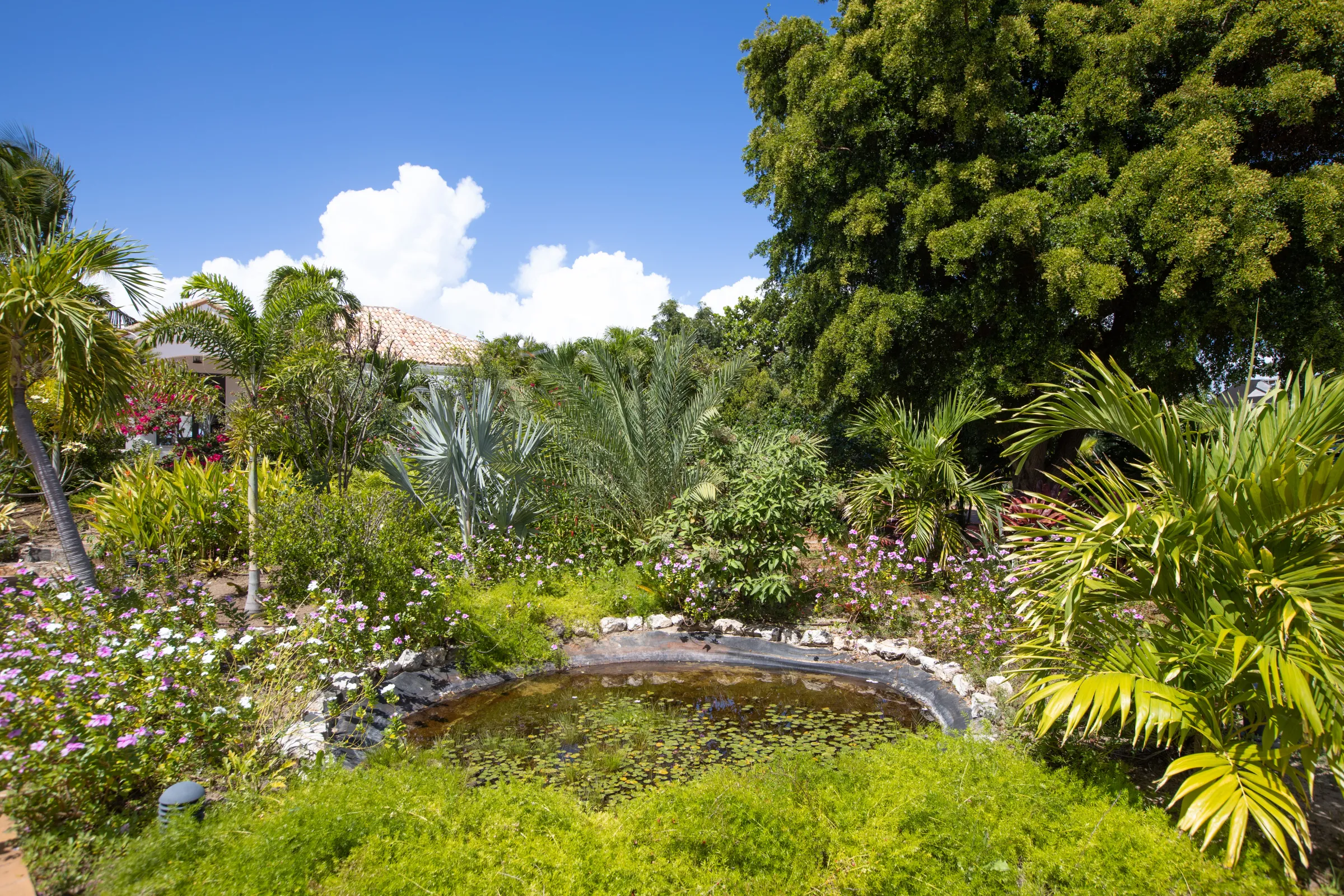 Villa Riviera - Gallery image 95 of luxury villa in Sint Maarten